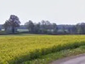 E.I. SAUZE Cédric - Débarras maison Nièvre 58