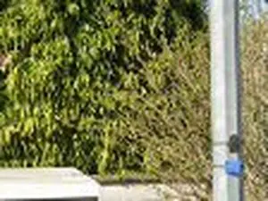 LD Rédaction Services