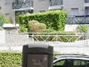 Sauli Joseph'''''antiquite brocante debarras.