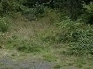 Déchetterie de Neussargues