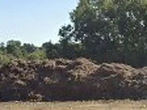 Végéterie de Auchay sur Vendée