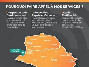 SOS FRELONS La Plaine sur Mer - Pornic