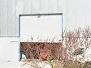 SARL ROSSIGNOL
